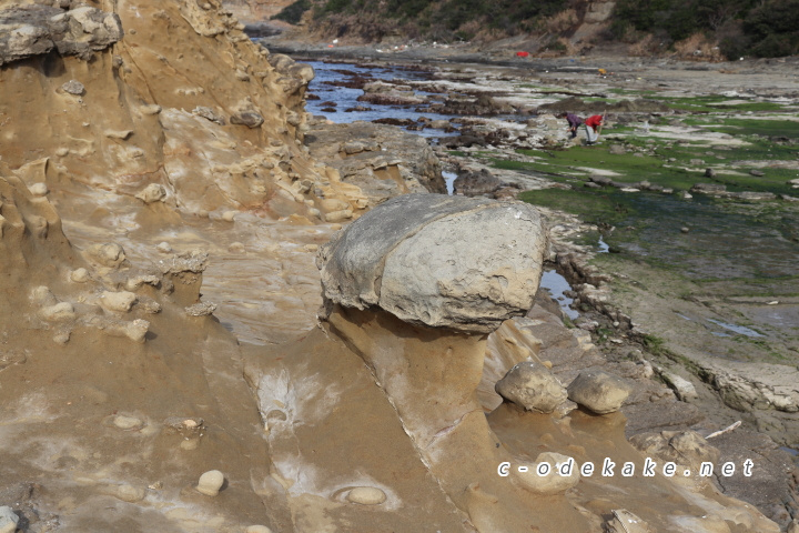 石見畳ヶ浦きのこ岩