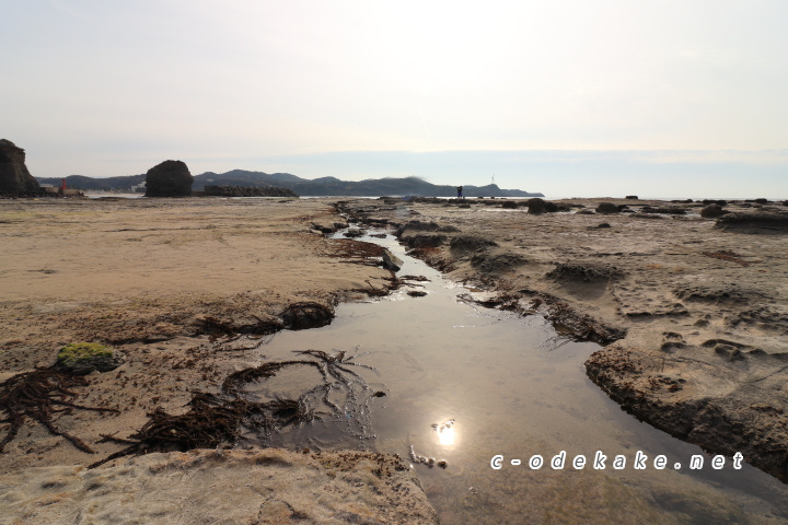 石見畳ヶ浦岩場