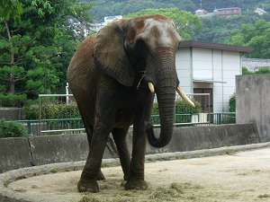 徳山動物園