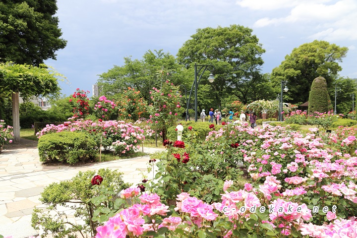 牛田総合公園バラ園