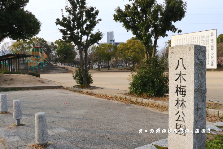 八木梅林公園