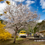 安野花の駅公園