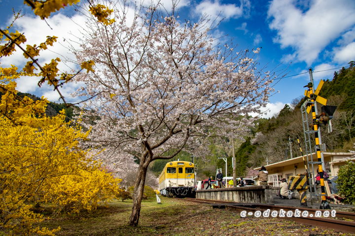 安野花の駅公園