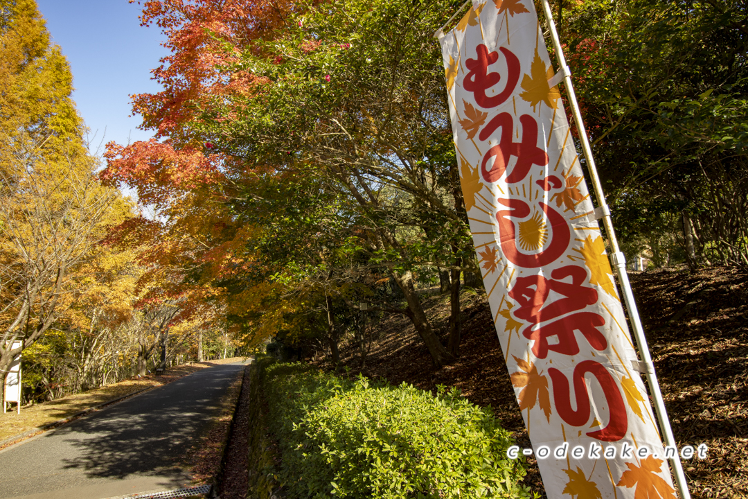 ひろしま遊学の森（紅葉編）